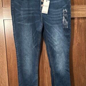 Judy Blue Indigo Skinny Jeans